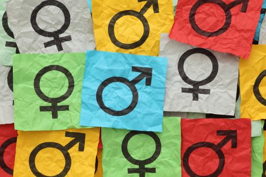 Projetos para inclusão de gênero nas universidades brasileiras